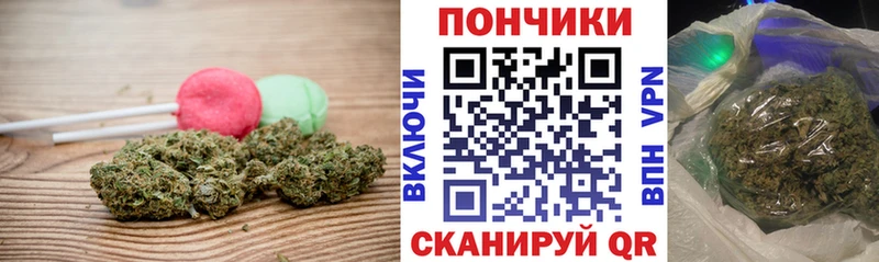 Cannafood конопля  Пласт 