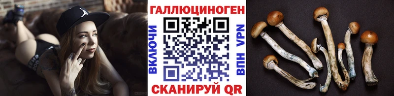 купить наркотик  Пласт  Галлюциногенные грибы Psilocybe 
